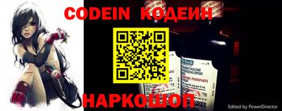 индика Кулебаки