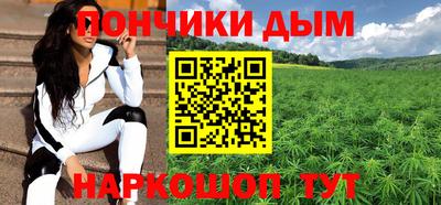 индика Кулебаки