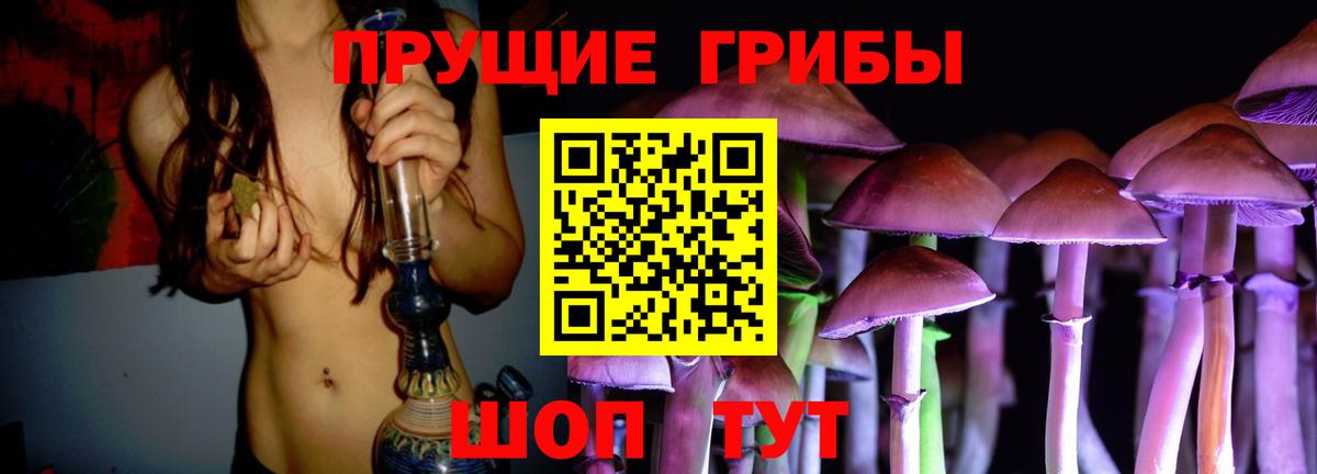 Псилоцибиновые грибы Psilocybine cubensis Горно-Алтайск